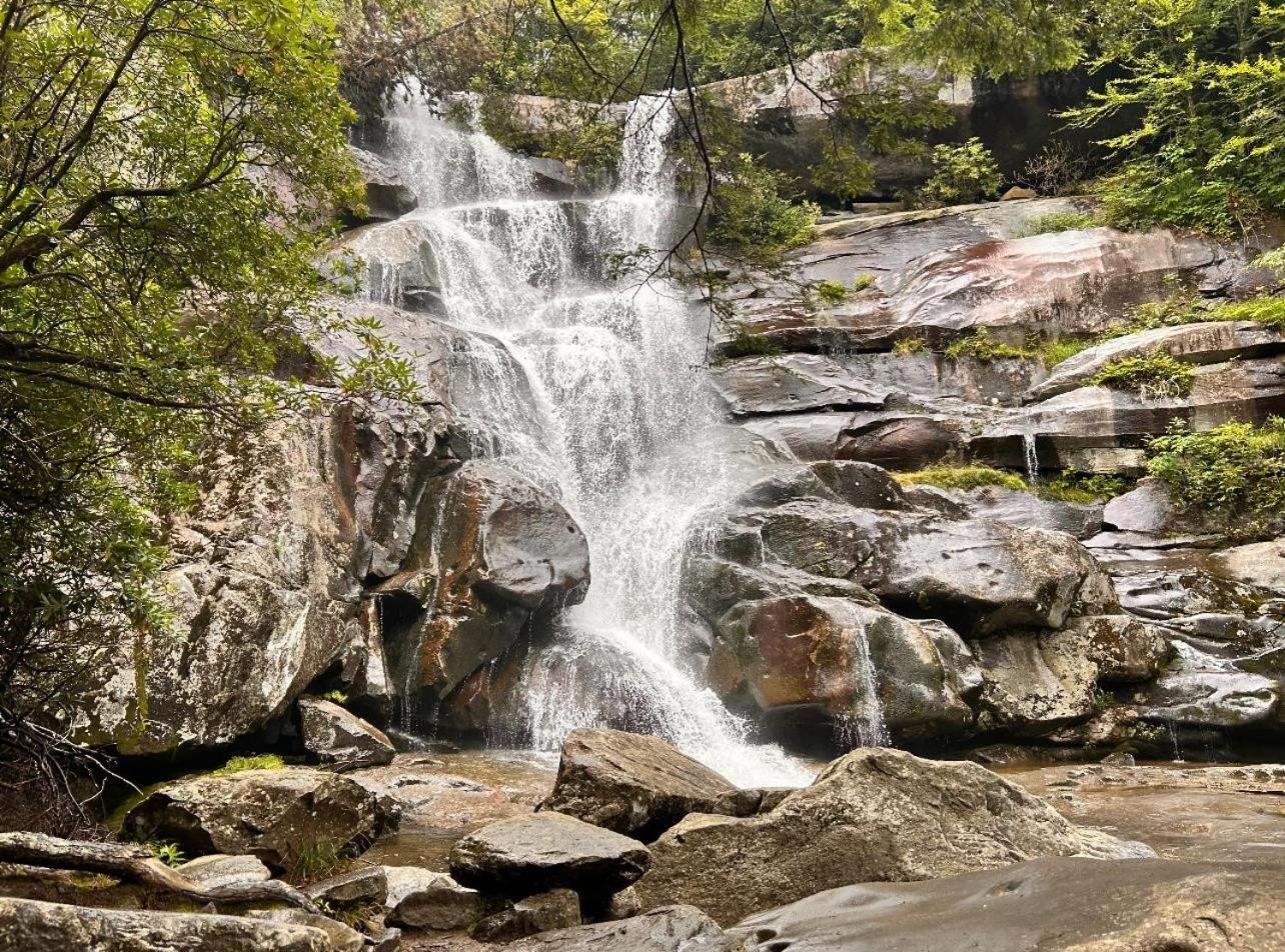 Wild Turkey "The Perfect Getaway" Βίλα Pigeon Forge Εξωτερικό φωτογραφία