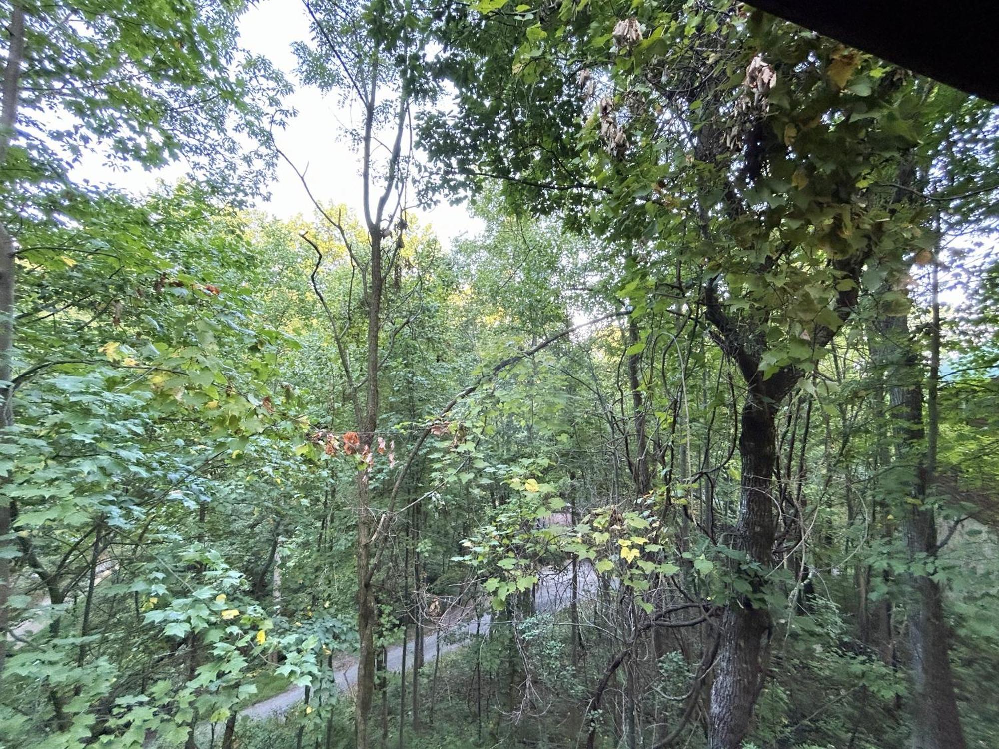 Wild Turkey "The Perfect Getaway" Βίλα Pigeon Forge Εξωτερικό φωτογραφία